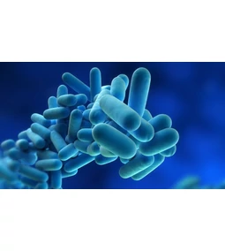 Tisztítás, karbantartás